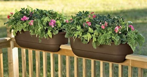 The Best Pots For Balcony Gardening