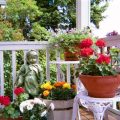 The Best Time To Plant On Your Balcony