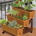 The Best Vegetables For Small Balcony Gardens