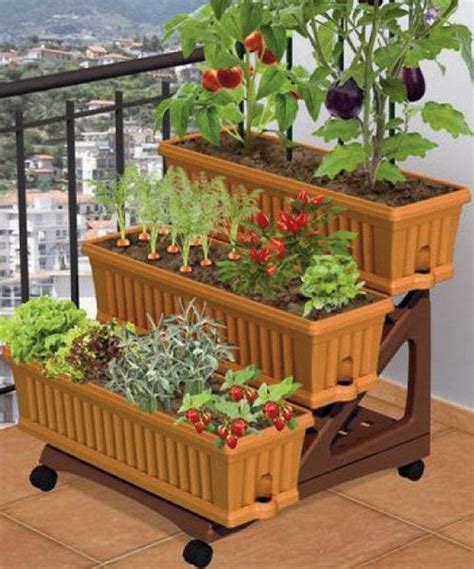 The Best Vegetables For Small Balcony Gardens