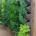 The Best Vertical Gardening Solutions For Your Balcony