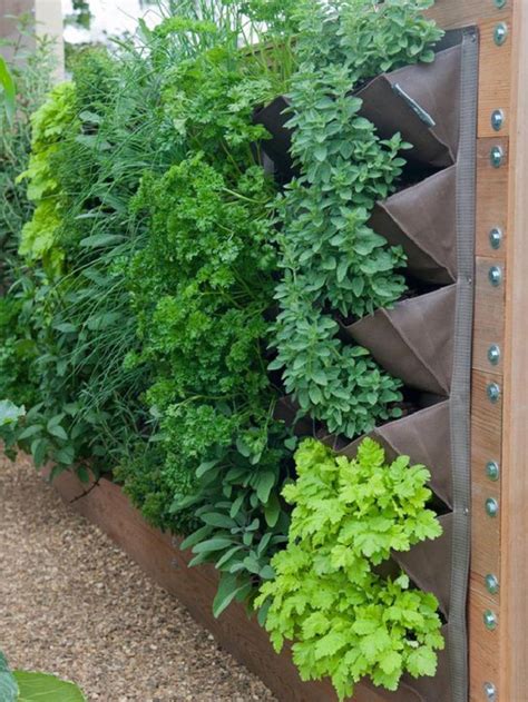 The Best Vertical Gardening Solutions For Your Balcony