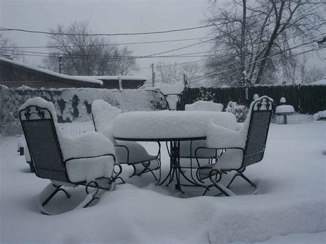 The Best Ways To Winterize Your Balcony Garden