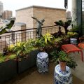 The Future Of Urban Balcony Gardening