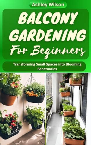 The Ultimate Guide To Balcony Gardening For Beginners