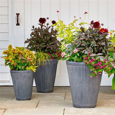 The Ultimate Guide to Container Gardening