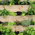 The Ultimate Guide to Vertical Gardening