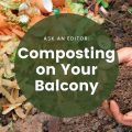 Tips For Composting On Your Balcony