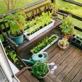 Tips For Creating A Balcony Herb Spiral Garden