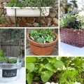 Tips For Growing Herbs In Small Spaces