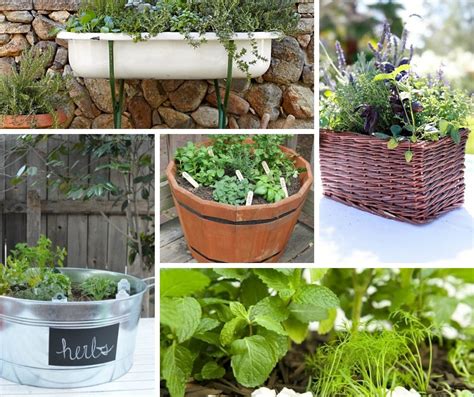 Tips for Growing Herbs in Small Spaces