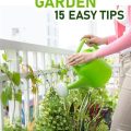 Tips For Maintaining Plant Health In Your Balcony Garden