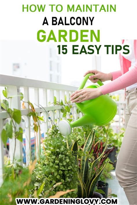 Tips For Maintaining Plant Health In Your Balcony Garden