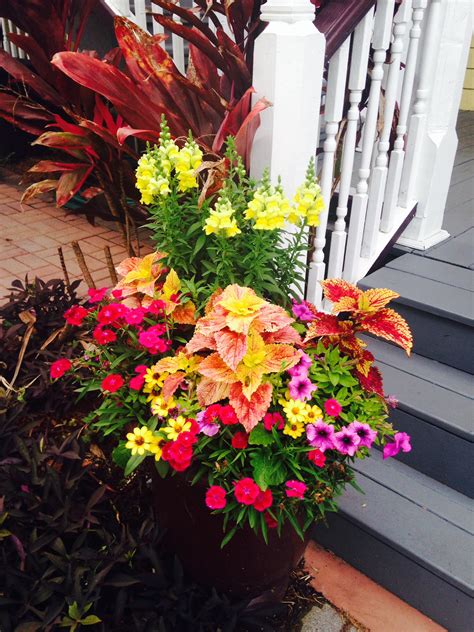 Tips For Planting Flowers In Containers