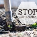 Tips For Preventing Soil Erosion In Container Gardens