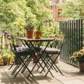 Top 5 Plants Perfect For Your Balcony Garden