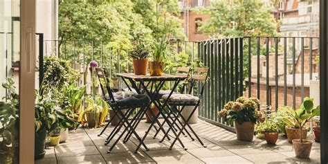 Top 5 Plants Perfect For Your Balcony Garden