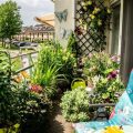 Transform Your Balcony Into a Green Paradise