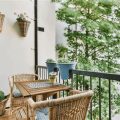 Transforming Your Balcony With Seasonal Decor And Plants