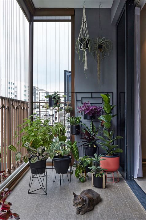 Unique Plant Choices For A Modern Balcony