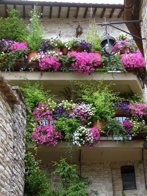 Unique Plant Choices For A Stunning Balcony