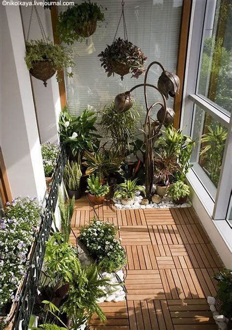 Unique Plants To Spice Up Your Balcony