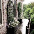 Using Trellises To Enhance Your Balcony Garden