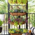 Why Vertical Gardening Is Perfect For Small Balconies