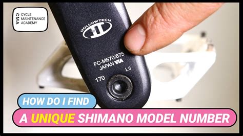 Shimano Serial Number Check